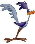 pic for Road Runner